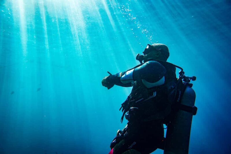 From Jeddah: Boat Trip and Diving for Certified Divers - Inside the Itinerary: What to Expect
