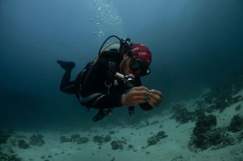 From Jeddah: Boat Trip and Diving for Certified Divers - FAQs