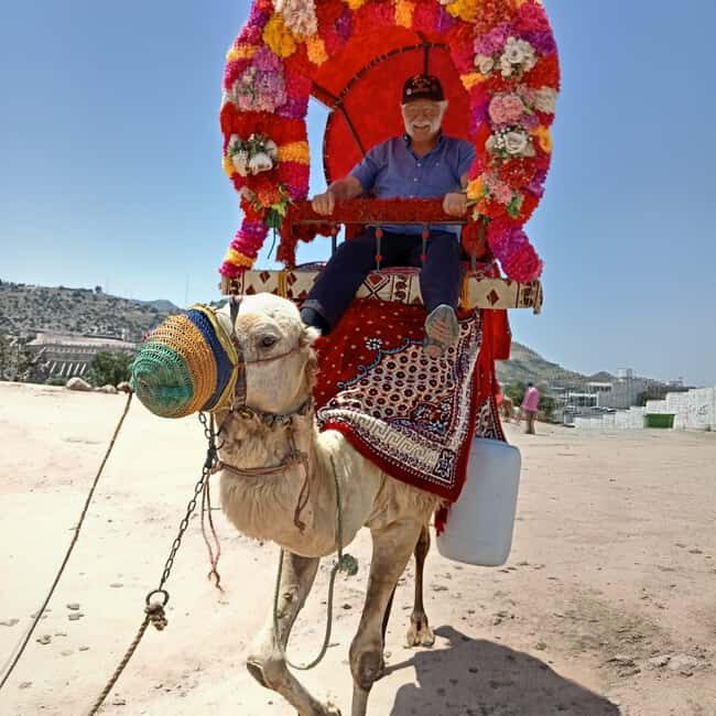 From Jeddah: Full-Day Tour To Taif - Final Thoughts: Is This Tour Right for You?