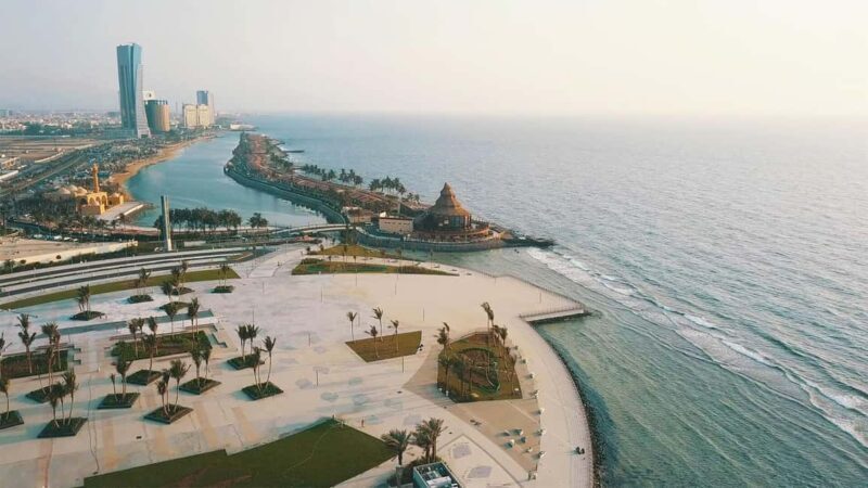 From Jeddah: Private Sea Trip to Bayadah Island - Key Points