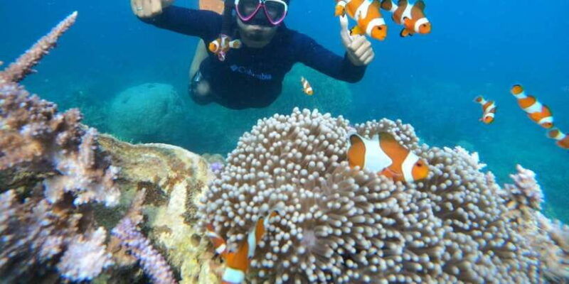 from-jepara-karimunjawa-archipelago-3-day-snorkeling-tour