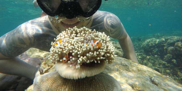 from-jepara-karimunjawa-archipelago-3-day-snorkeling-tour