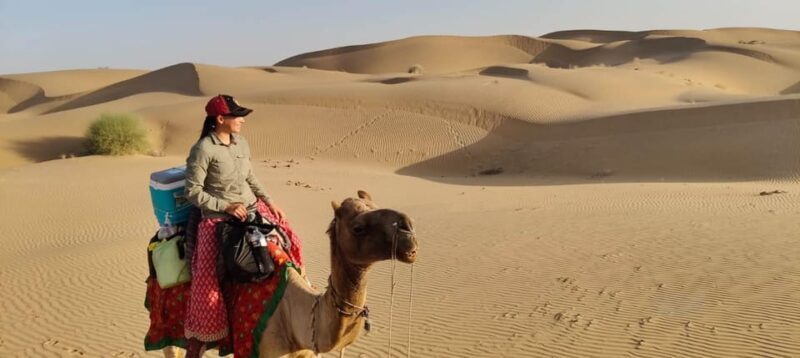 From Jodhpur: 2 Day Jaisalmer Tour with Nomadic Camel Safari - A Detailed Look at the 2-Day Jaisalmer Tour