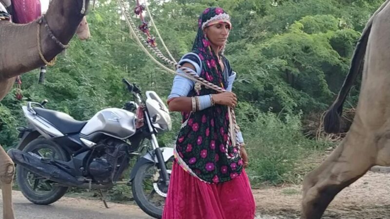 From Jodhpur: Half-Day Tour, Camel Ride, & Dinner in Osian - Who Should Consider This Tour?