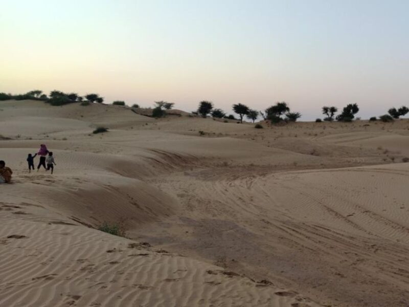 From Jodhpur: Half-Day Tour, Camel Ride, & Dinner in Osian - FAQ