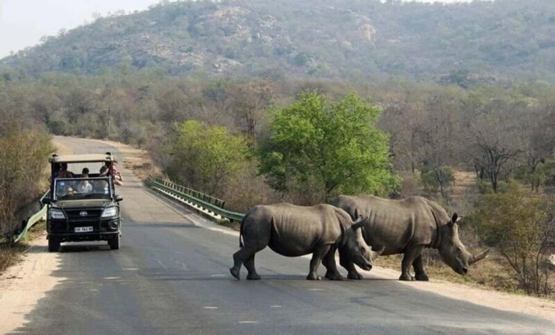 From Johannesburg: 15-Day Overland Tour to Cape Town - Key Points