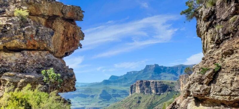 From Johannesburg: 15-Day Overland Tour to Cape Town - Price and Value