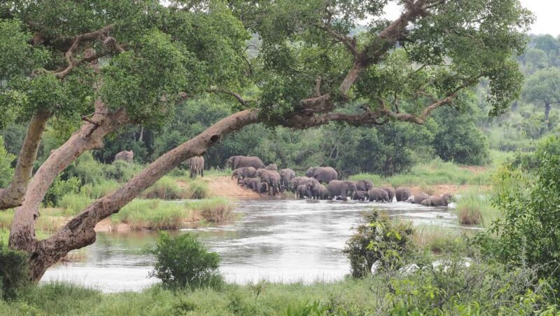 From Johannesburg: 2-Day Safari into Kruger National Park - Who Will Love This Safari?