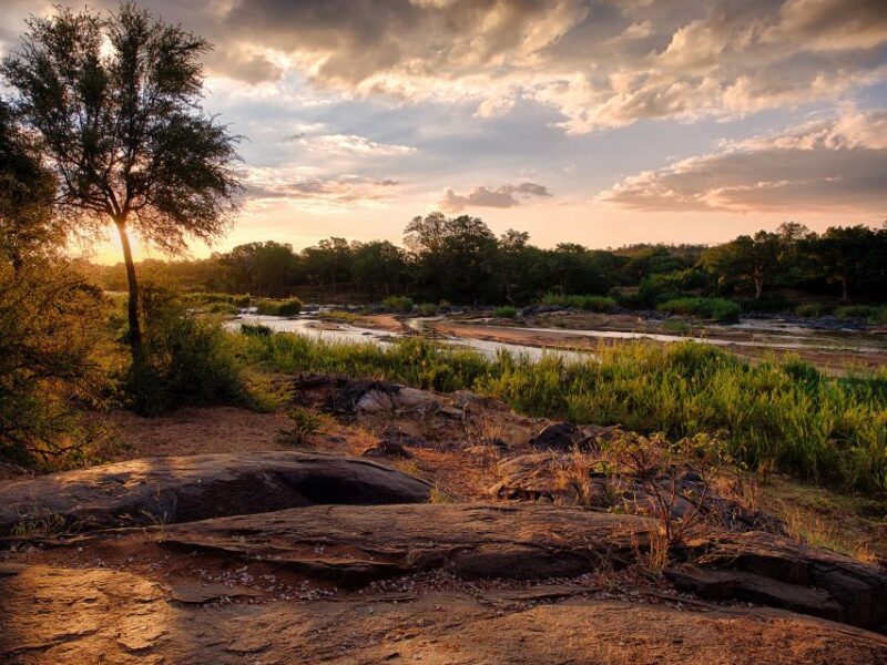 From Johannesburg: 3-Day Budget Tent Kruger Park Safari - Key Points