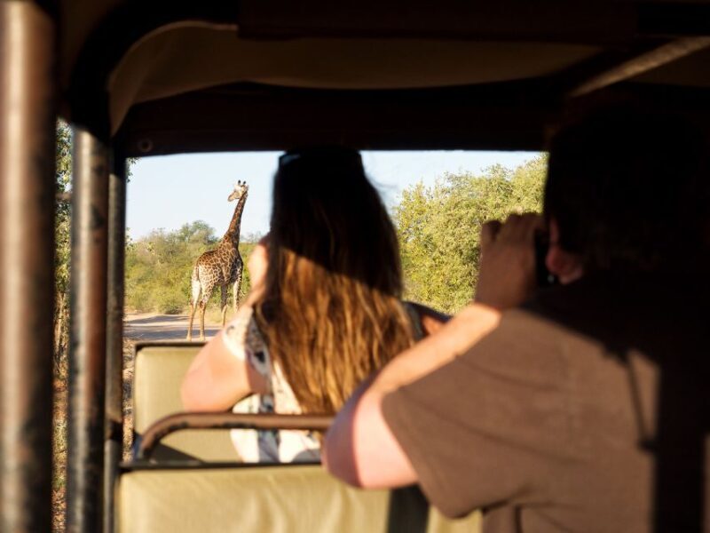 From Johannesburg: 3-Day Budget Tent Kruger Park Safari - Starting Point and Overall Experience