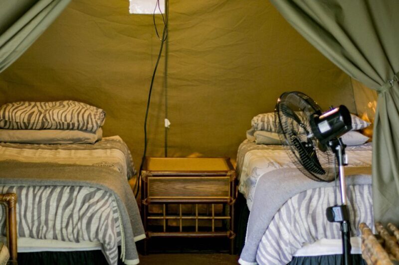 From Johannesburg: 3-Day Budget Tent Kruger Park Safari - Day 2: Full Day Game Drive in Kruger