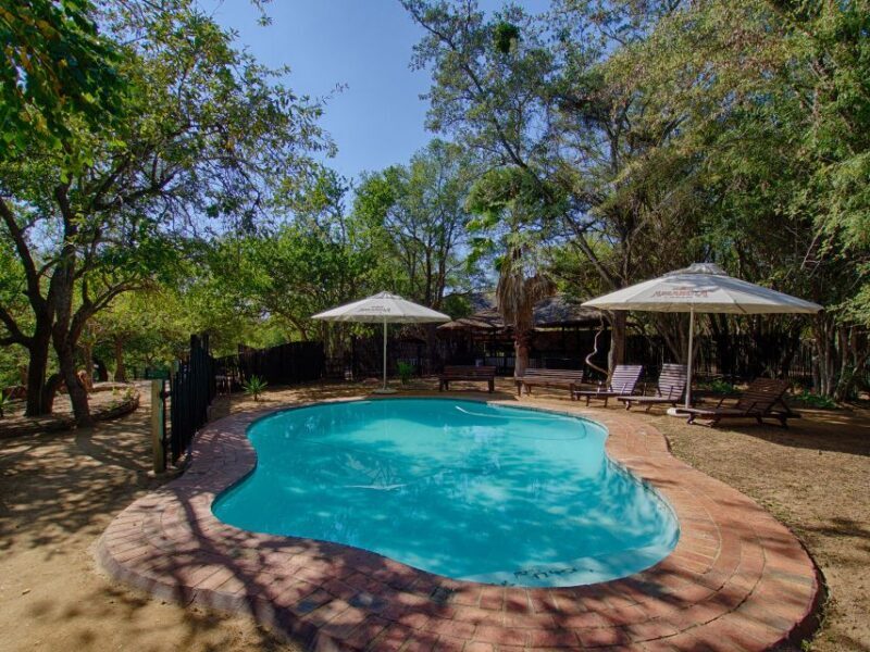 From Johannesburg: 3-Day Budget Tent Kruger Park Safari - Authenticity and Value
