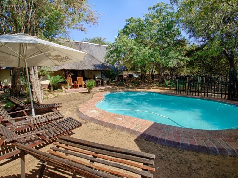 From Johannesburg: 3-Day Budget Tent Kruger Park Safari - Final Thoughts