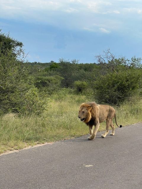 From Johannesburg : 3 Day Kruger National Park BIG 5 Safari - Key Points