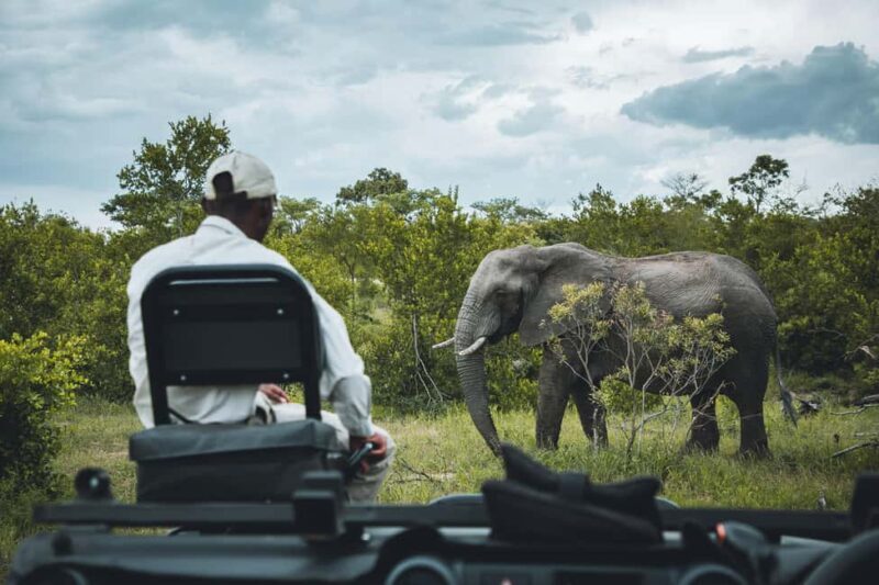 From Johannesburg: 3-Day Kruger National Park Safari - Final Thoughts: Is It Worth It?