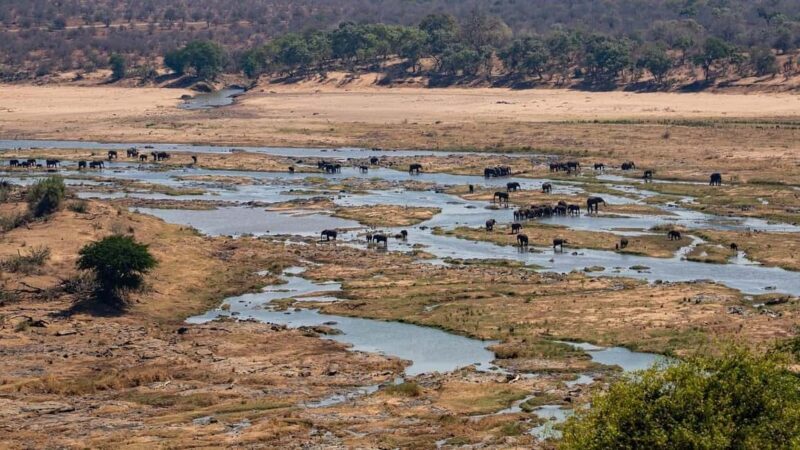 From Johannesburg: 6-Day Safari to Kruger & Mozambique - FAQ
