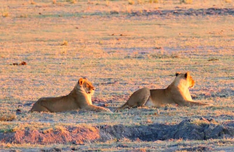 From Johannesburg: 6-Days luxury Kruger Park Safari - Key Points