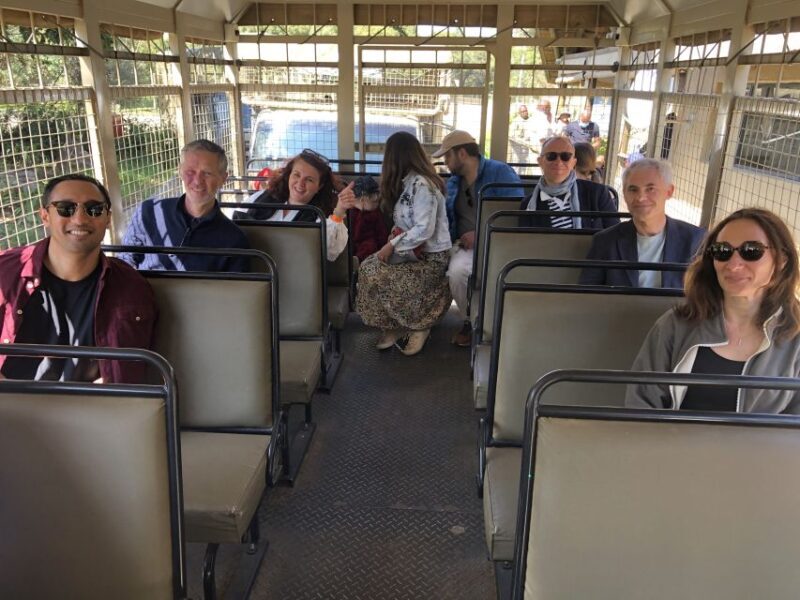 From Johannesburg: Cradle of Humankind and Lion Safari - The Full Itinerary Breakdown  