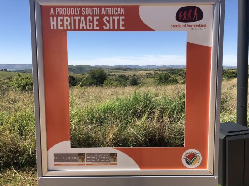 From Johannesburg: Cradle of Humankind and Lion Safari - FAQ  