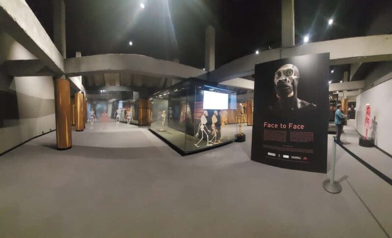 From Johannesburg: Cradle of Humankind Private Half-Day Tour - The Itinerary Breakdown: What You Can Expect