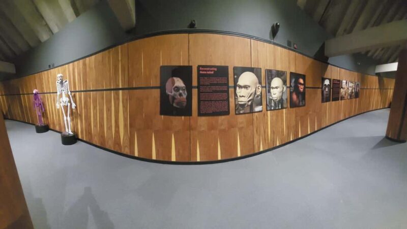 From Johannesburg: Cradle of Humankind Private Half-Day Tour - Practical Details: Transportation, Timing, and Cost