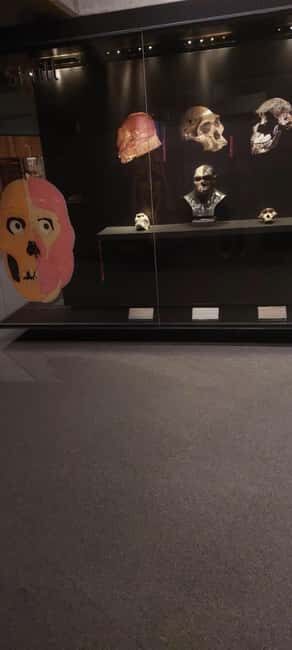 From Johannesburg: Cradle of Humankind Private Half-Day Tour - The Reviews: What Travelers Are Saying
