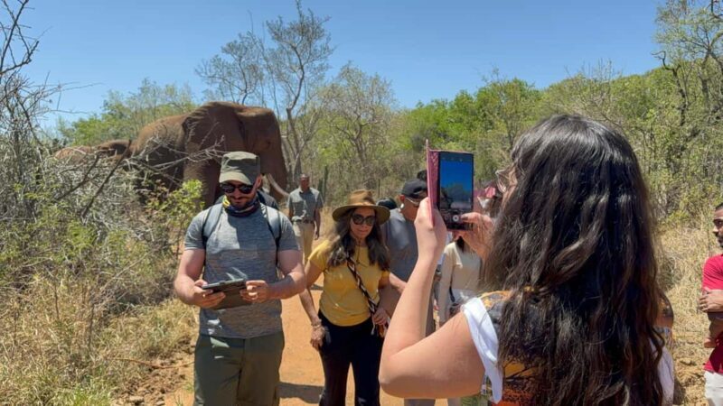 From Johannesburg: Elephant and Monkey Sanctuary Day Trip - Key Points