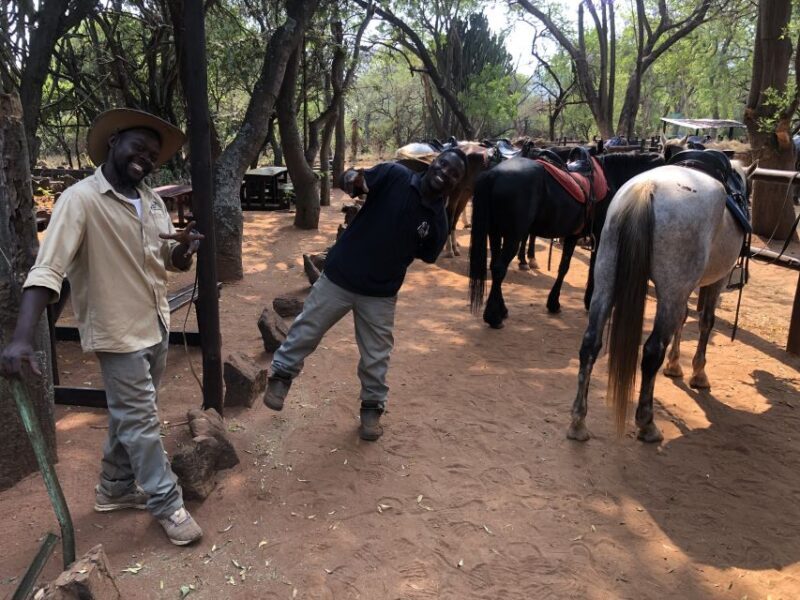 From Johannesburg: Horse-Riding Safari and Cable Car Tour - Key Points