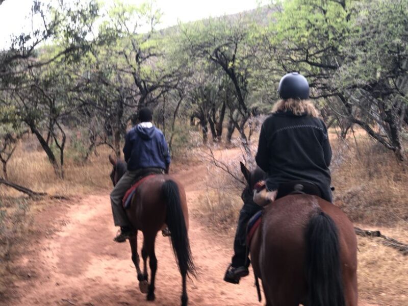 From Johannesburg: Horse-Riding Safari and Cable Car Tour - An Authentic Way to Experience South African Nature