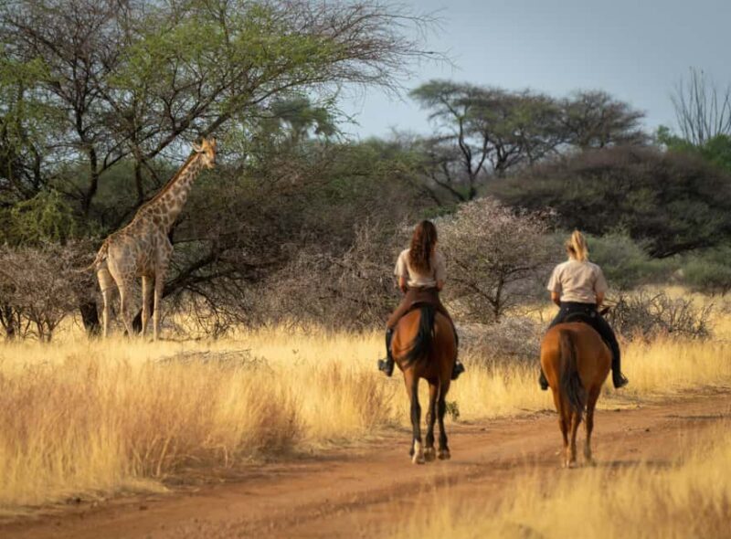 From Johannesburg: Horse-Riding Safari and Cable Car Tour - Logistics and Practical Details