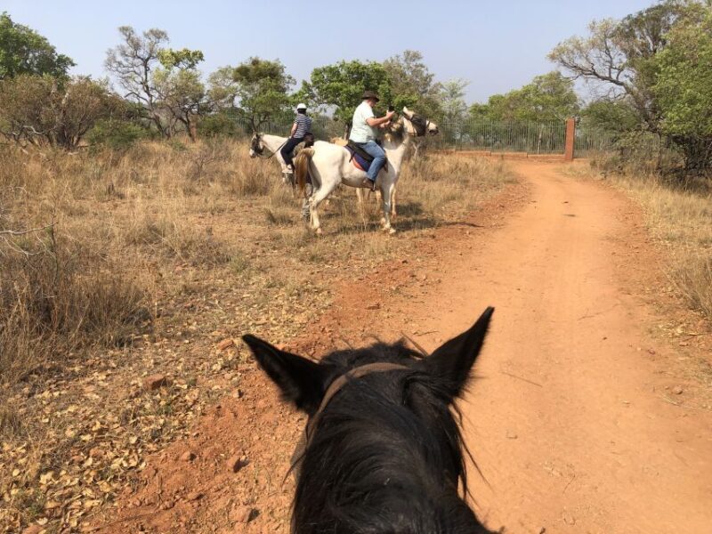 From Johannesburg: Horse-Riding Safari and Cable Car Tour - Final Thoughts