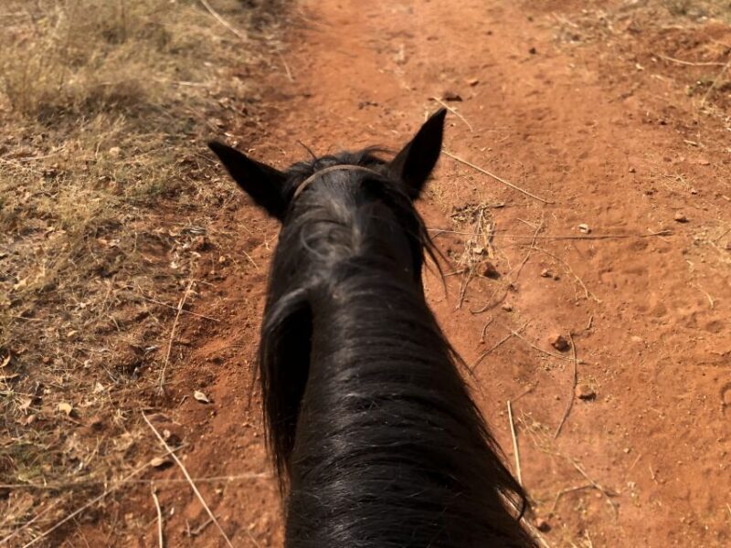 From Johannesburg: Horse-Riding Safari and Cable Car Tour - Frequently Asked Questions
