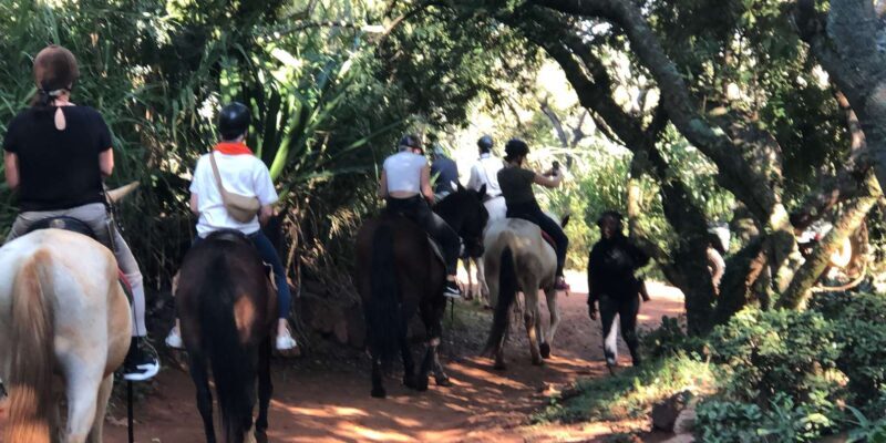 From Johannesburg: Horse-Riding Safari - Key Points
