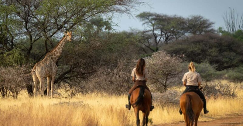 From Johannesburg: Horse-Riding Safari - An In-Depth Look at the Horse-Riding Safari Near Johannesburg