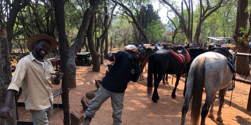 From Johannesburg: Horse-Riding Safari - FAQs