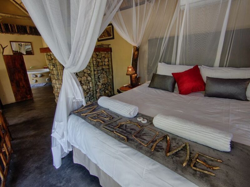 From Johannesburg: Kruger National Park 4-Day Luxury Safari - What Makes This Safari Stand Out?