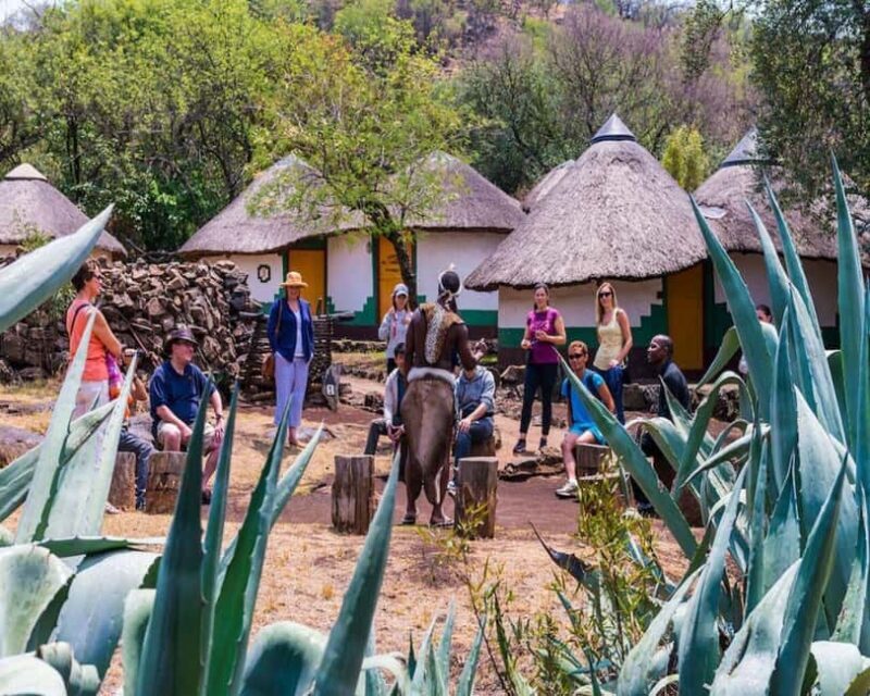 From Johannesburg : Lion Park Tour with Lesedi Village Tour - Key Points