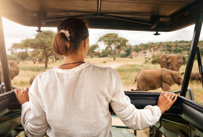 From Johannesburg: Pilanesberg Wildlife Safari - Who Should Consider This Tour?