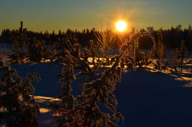 From Jokkmokk: The Great Rapids National Park - Who Should Consider This Tour?