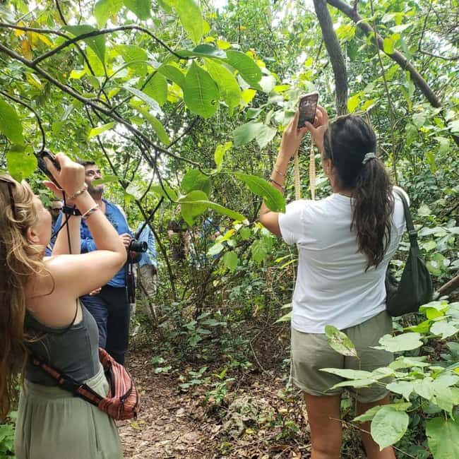 From Jungle to Stone Town: Zanzibar Nature & Heritage escape - Practicalities and Tips