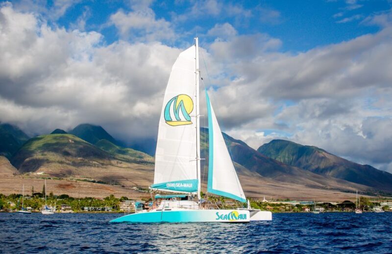 From Kaanapali: Afternoon West Maui Snorkeling w/ Drinks - What Reviews Tell Us