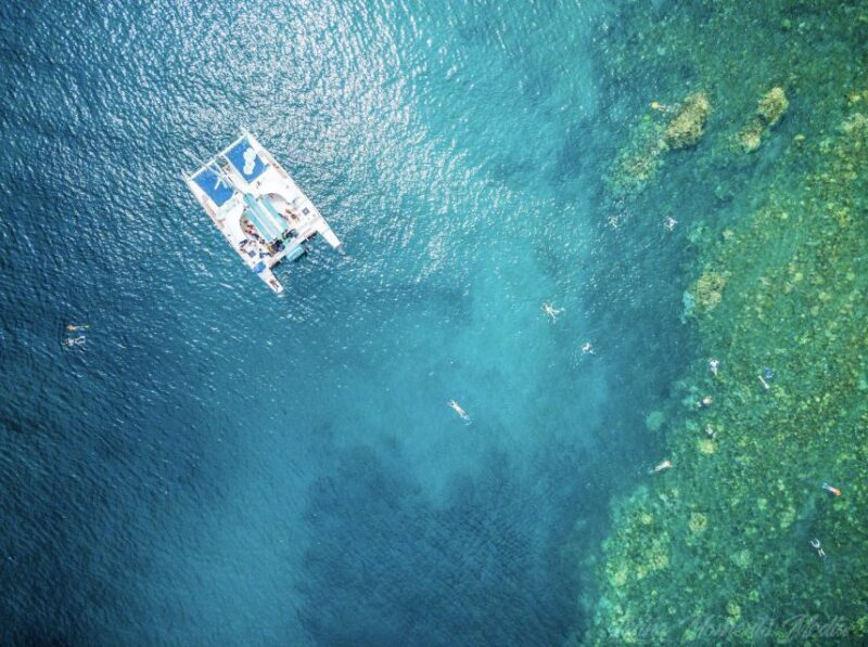 From Kaanapali: Afternoon West Maui Snorkeling w/ Drinks - Is This Tour Worth the Price?