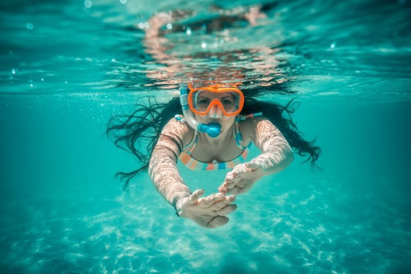 From Ka'anapali: West Maui Half-Day Snorkel Tour w/ Food - Key Points