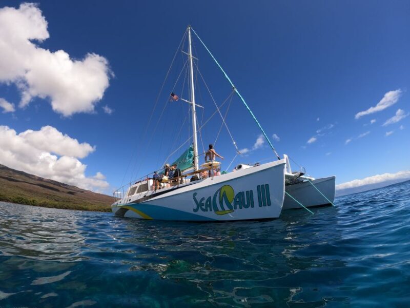 From Ka'anapali: West Maui Half-Day Snorkel Tour w/ Food - What Travelers Love About This Tour