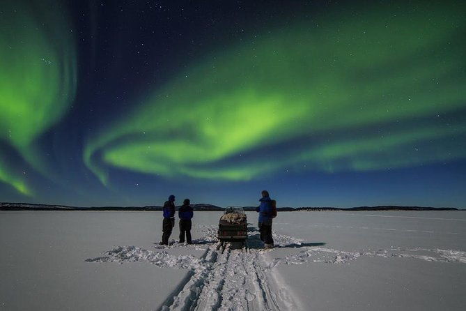 from-kakslauttanennorthern-lights-tour-to-lake-inari-inc-dinner