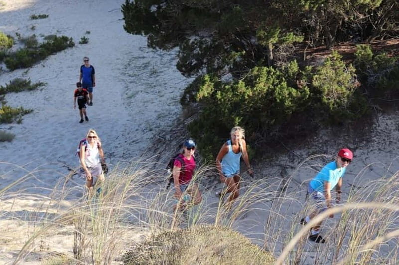 From Kalamata: Day Trip Hike to Gialova Lagoon with Dinner - Key Points