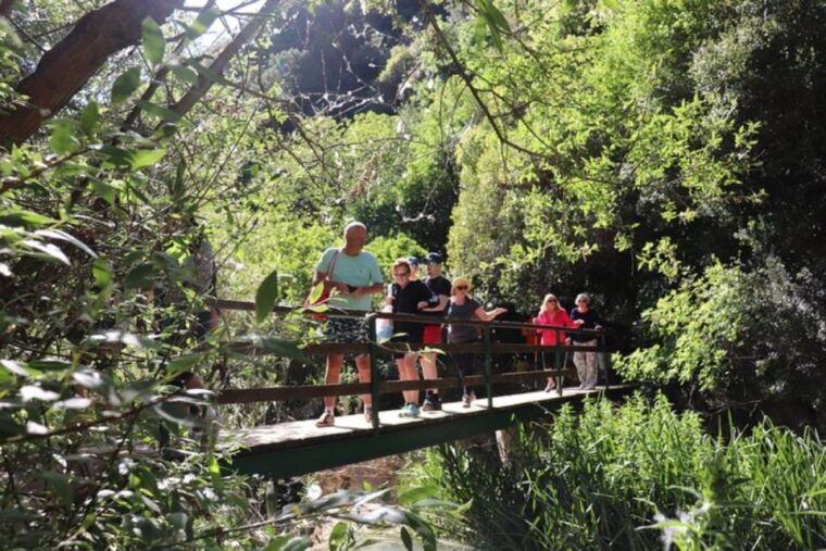 from-kalamata-polylimnio-waterfalls-guided-hiking-tour