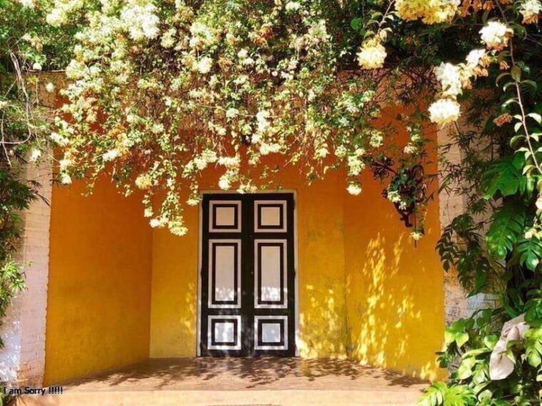 from-kalutara-waskaduwa-lunuganga-brief-garden-tour