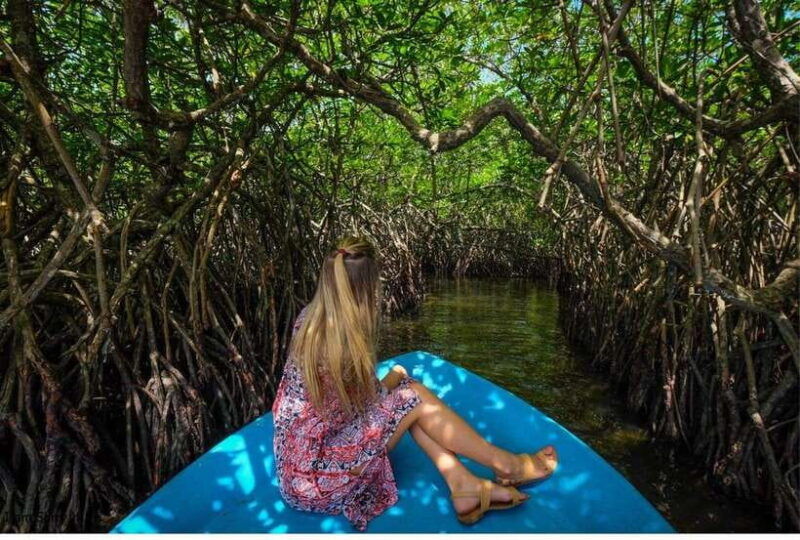 from-kalutaraexclusive-galle-dutch-fort-madu-river-safari