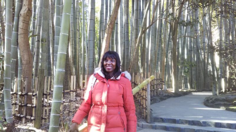 From Kamakura: Daibutsu Hiking Trail Tour with Local Guide - Logistics and Practical Tips